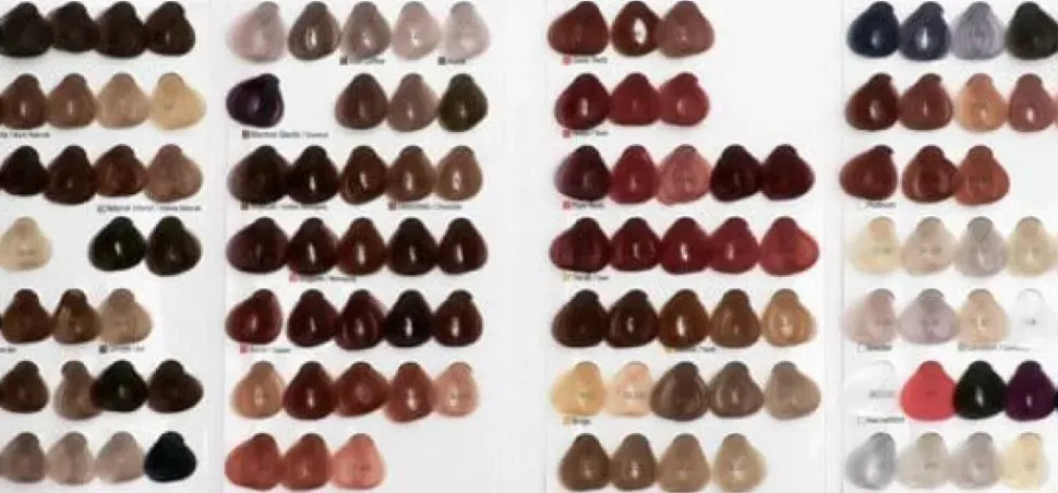 Alfaparf Milano Evolution of the Color Chart Mini (U)
