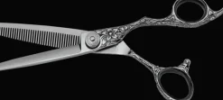 e-kwip Sunflower SFL 5,5'' 40 teeth