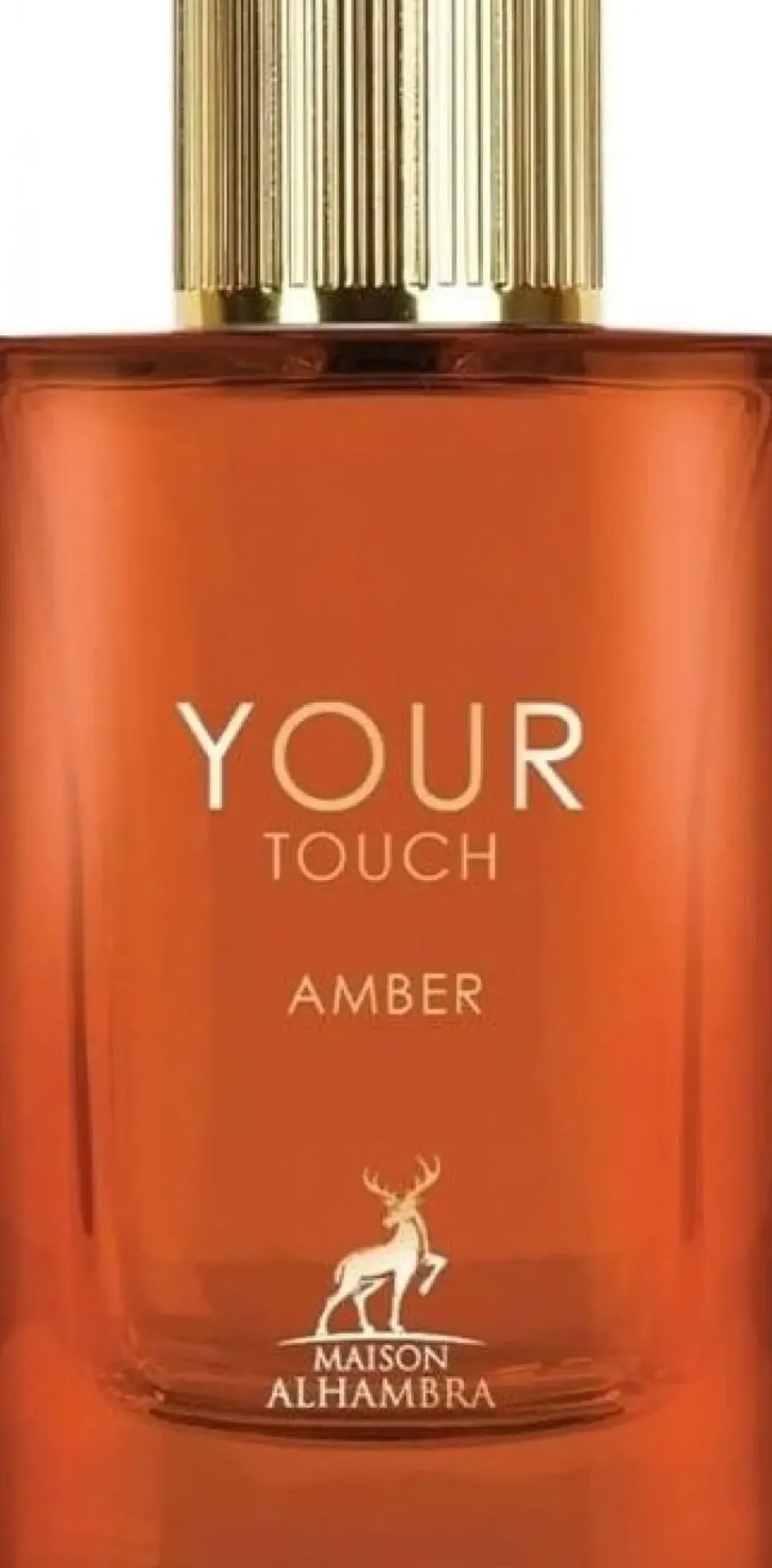 Lattafa Maison Alhambra Your Touch Amber EDP 100 ml