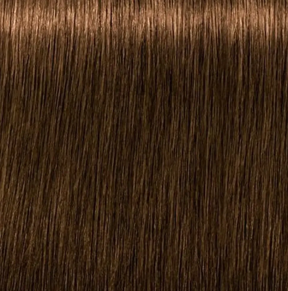 Schwarzkopf Igora Royal Absolutes 6-50 Dark Blonde Gold Natural - 60 ml