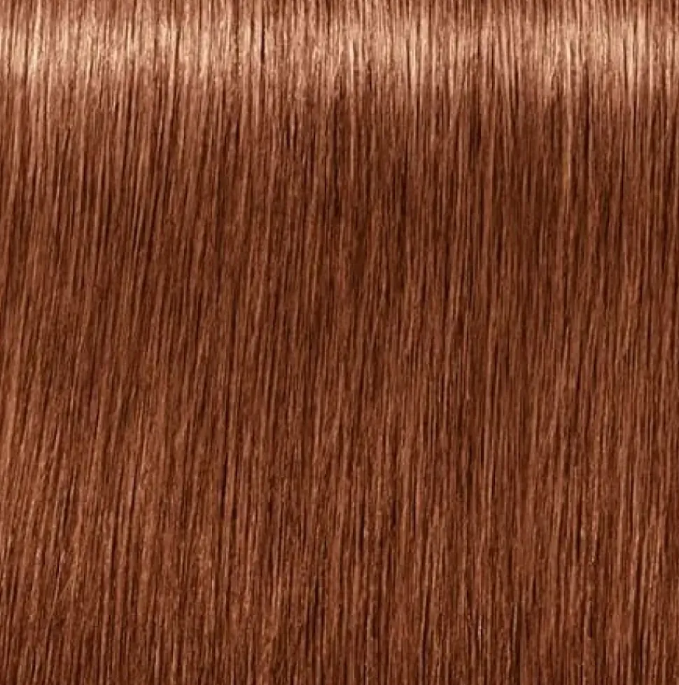 Schwarzkopf Igora Royal Absolutes 7-560 Medium Blonde Gold Chocolate - 60 ml