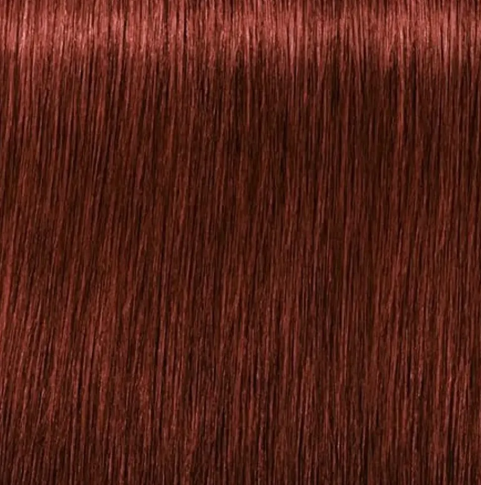 Schwarzkopf Igora Royal Absolutes 6-80 Dark Blonde Red Natural - 60 ml