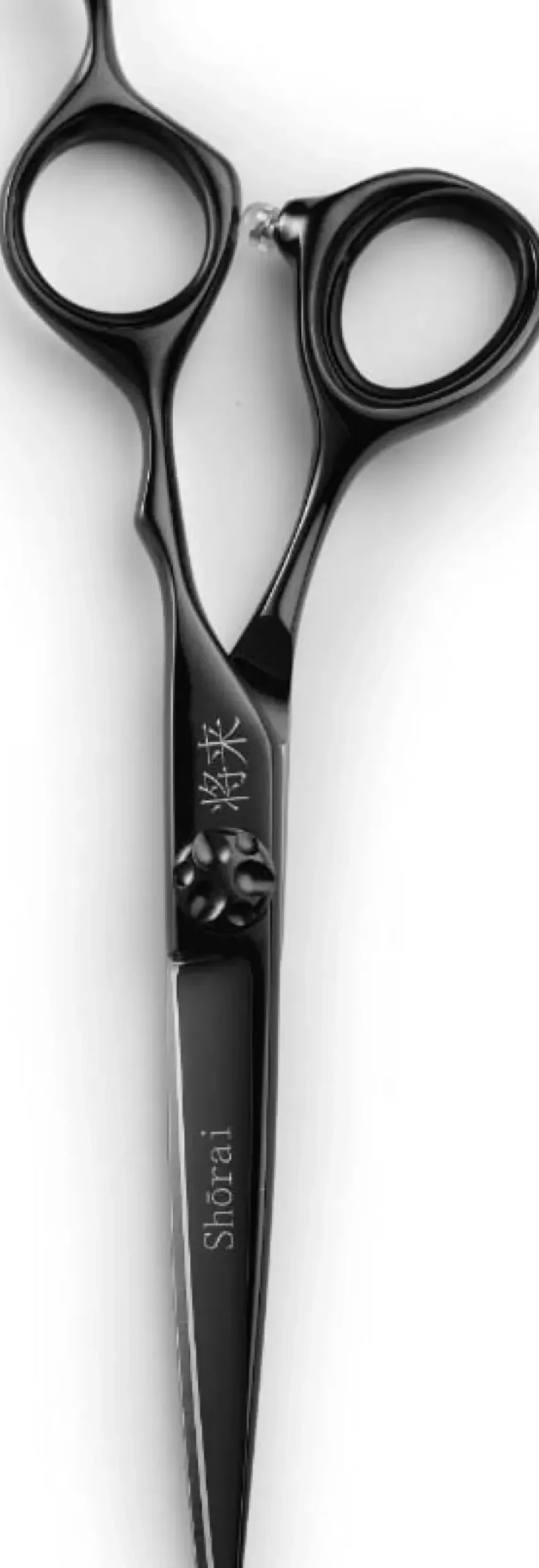 Shōrai SC Black 6"