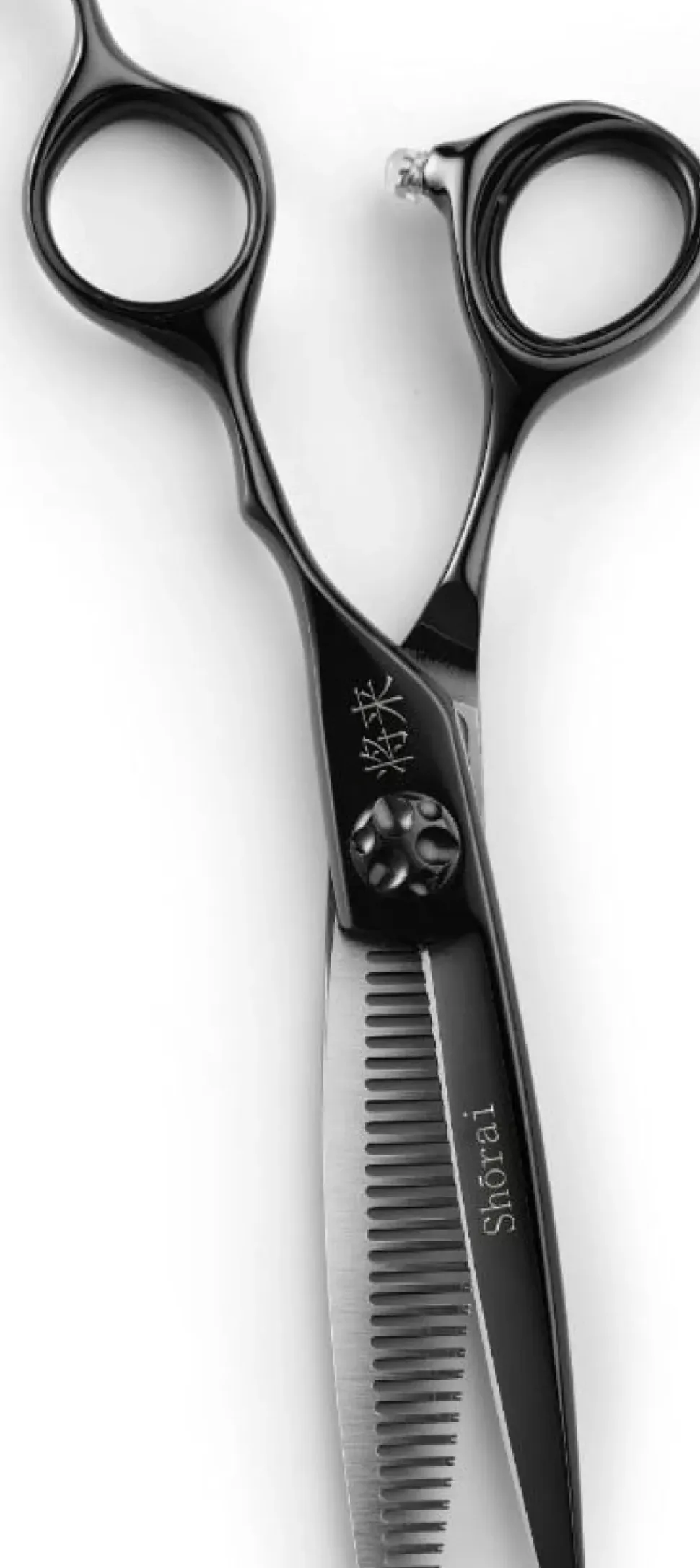 Shōrai SC Black Thinning 6" - 30 Teeth
