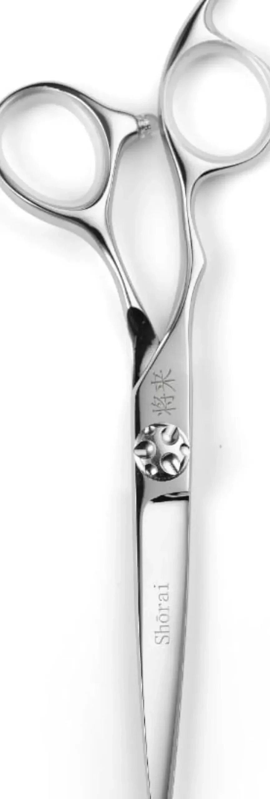 Shōrai SC Left Hand 5.5"