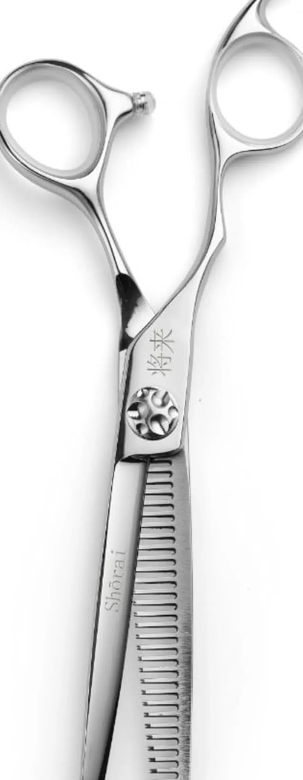 Shōrai SC Left Handed Thinning 6" - 30 Teeth