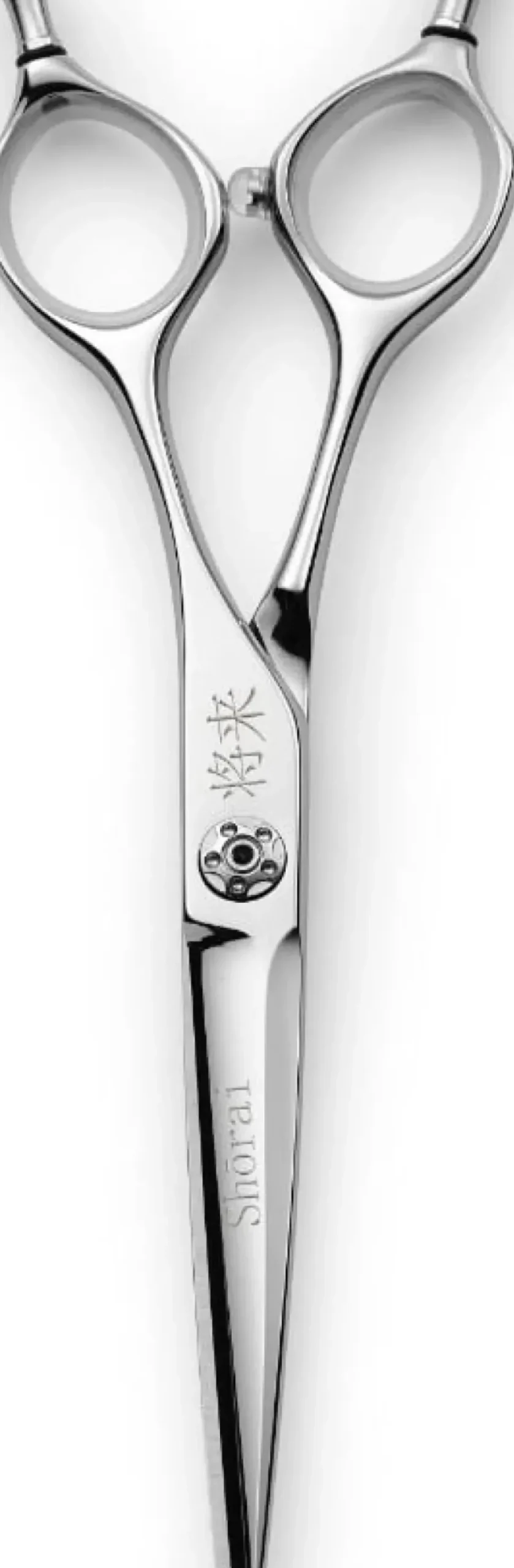 Shōrai Symmetric 7"