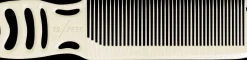 YS Park Mambo Comb No.246 White